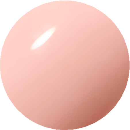 041M　ベリーニ