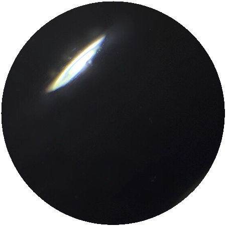 001M　ブラックウォッカ