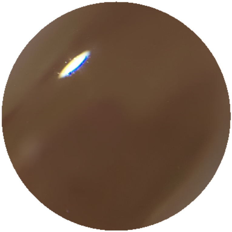 234C　オルボワール